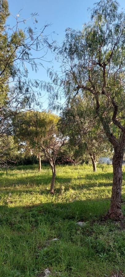 Villa Raffaella Lecce Ngoại thất bức ảnh
